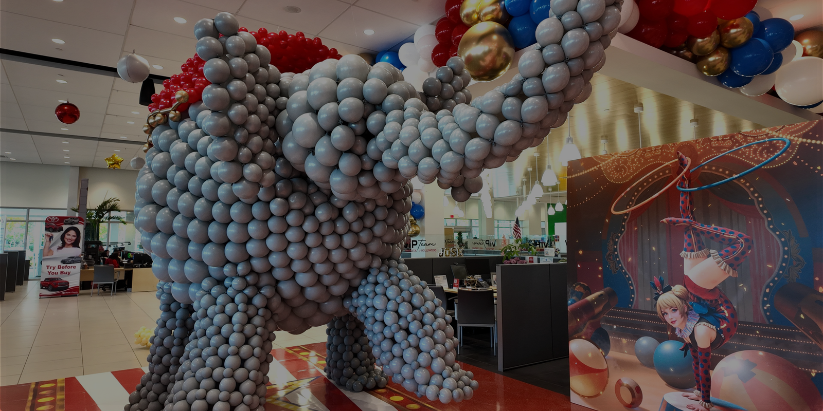 Video fallback image