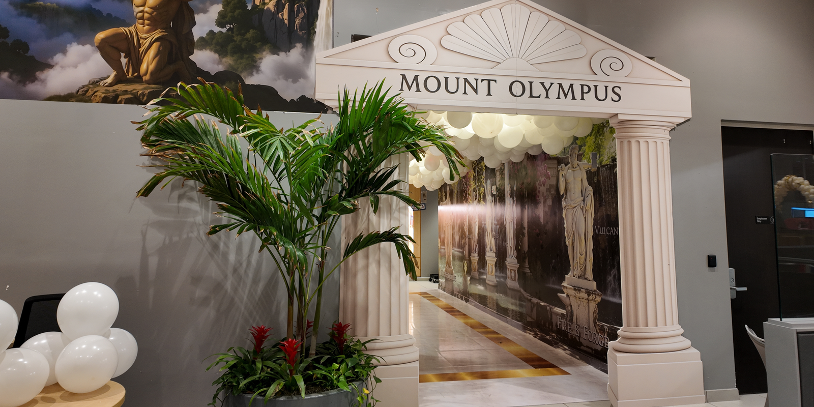 Video fallback image